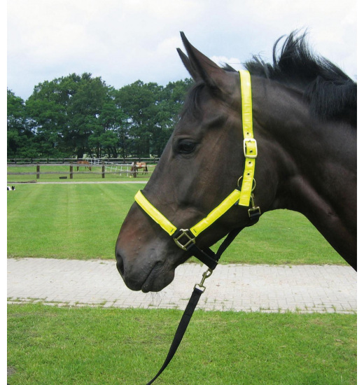 BUSSE REFLEKTION HEADCOLLAR BLACK