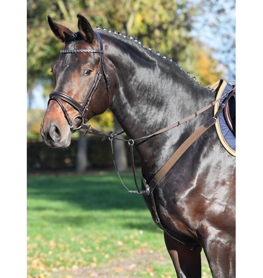 BUSSE CAMBRIDGE BREASTPLATE BROWN BROWN