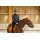 HORZE CAESAR VS SADDLE PAD WITH HOOK AND LOOP FASTENER - 5 in category: All purpose saddle pads for horse riding