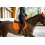 HORZE CAESAR VS SADDLE PAD WITH HOOK AND LOOP FASTENER - 7 in category: All purpose saddle pads for horse riding