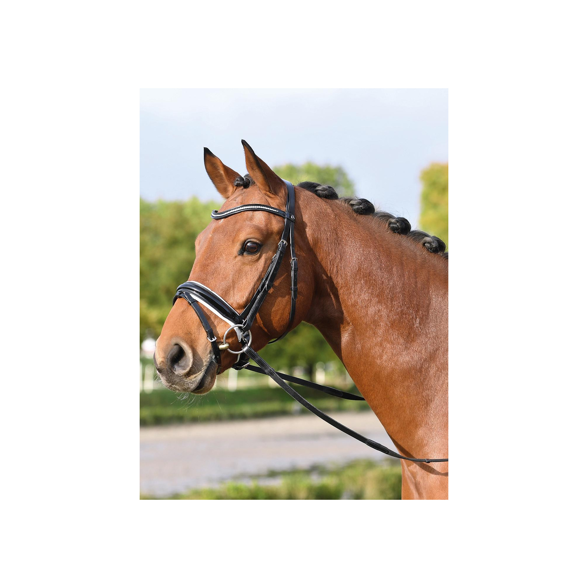 Royal Double Snaffle Leather Belts - Bridles & Reins