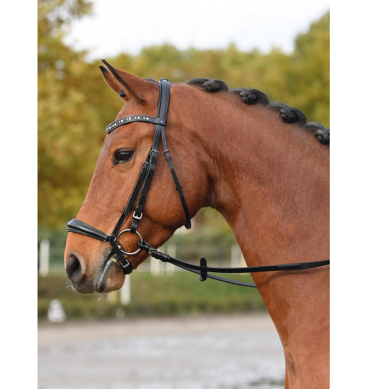 BUSSE HANNOVER II BRIDLE BLACK