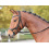 Busse BUSSE FEELING BRIDLE - 2 in category: Fly hats for horse riding