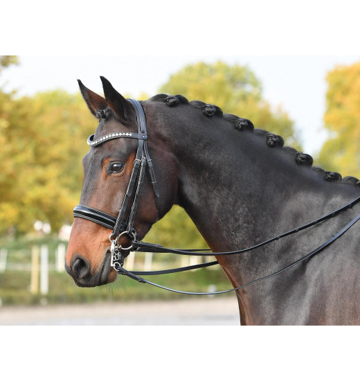 BUSSE LUXURY DOUBLE BRIDLE BLACK/CRYSTAL-PEARL