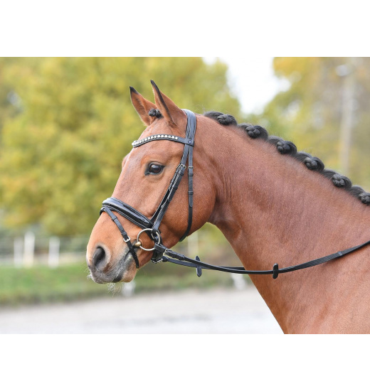 BUSSE LUXURY BRIDLE BLACK/CRYSTAL-PEARL