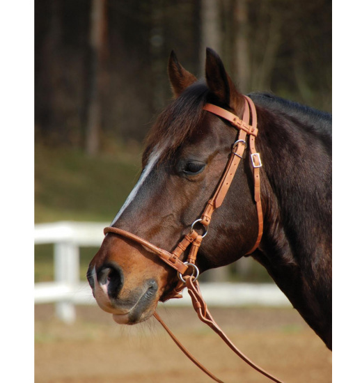 WILDHORN HARNESS SIDEPULL BROWN