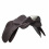 PRESTIGE ITALIA SYNCHRONY ELITE JUMPING SADDLE - 5 in category: Jumping saddles for horse riding