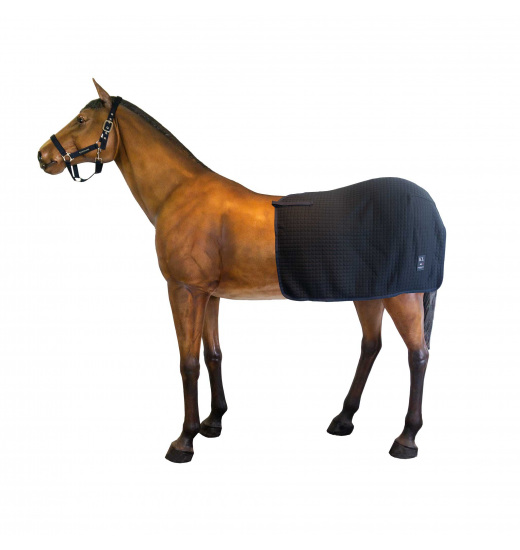 KINGSLAND WOOL EVOLUTION EXCERSISE RUG - 1 in category: Excercise sheets for horse riding