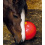 Likit LIKIT SNACK-A-BALL FOOD DISPENSER FOR HORSES - 2 in category: Waldhausen for horse riding