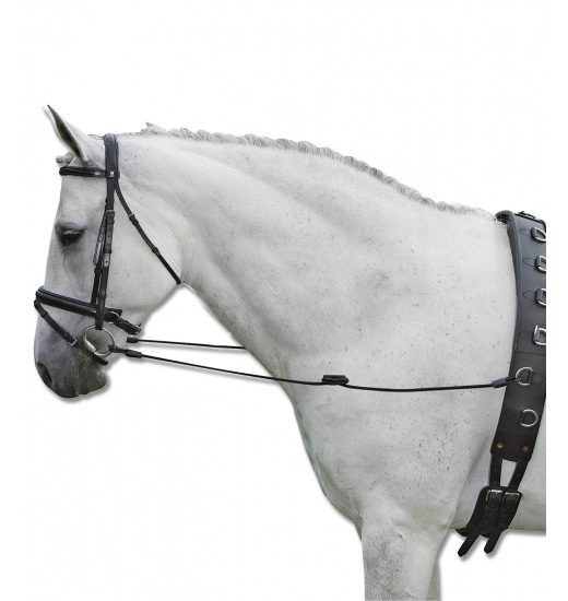 WALDHAUSEN ELASTIC SIDE REINS FOR HORSE BLACK