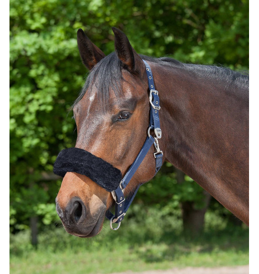 Comfort Poll/ Noseband Guard For Headcollars And Bridles