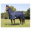 HKM TURNOUT RUG CHAMPION COMBO WINTER - 3 in category: Turnout rugs for horse riding