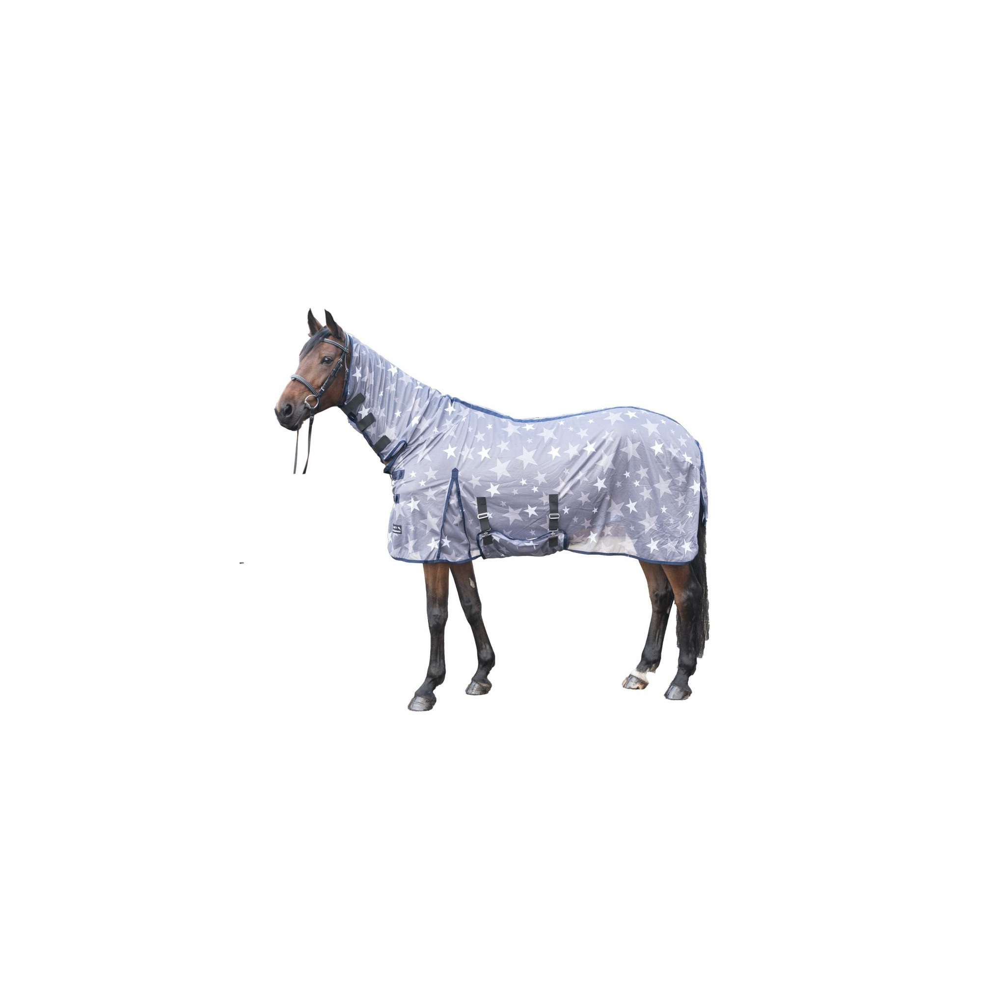 BUSSE FLY COVER PRO ANTI FLY RUG - EQUISHOP Equestrian Shop