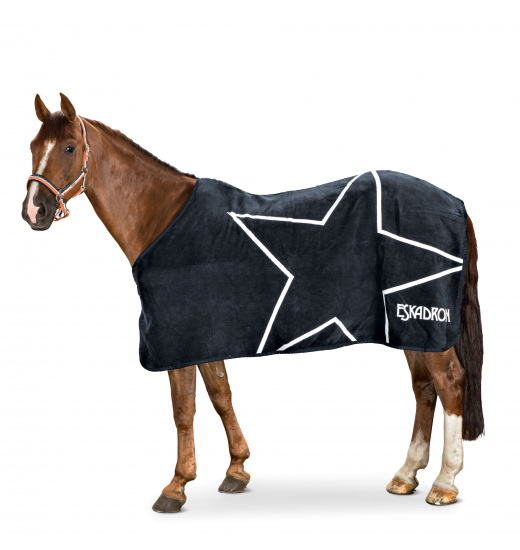 DRALON STAR NEXT GENERATION AFTER TRAINING RUG DRALON STAR NEXT GENERATION AFTER TRAINING RUG