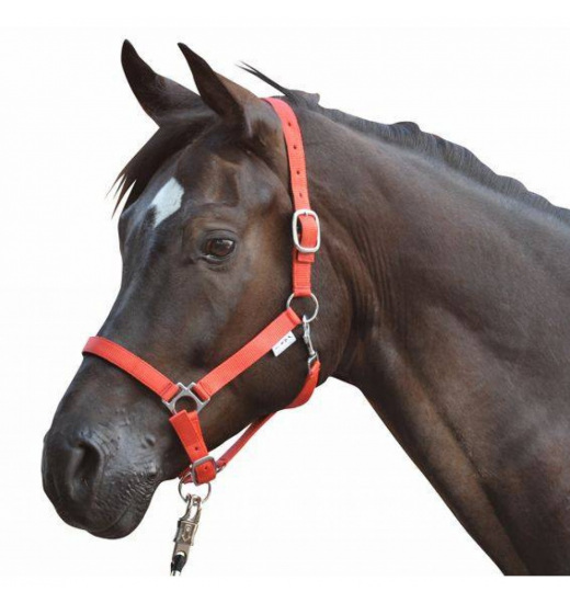 HKM HEAD COLLAR STARS WITH SOFT PADDING