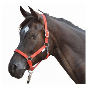 Tack Shack of Ocala Leather Halter for Horses with Macao
