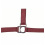 HKM HKM HEAD COLLAR STARS WITH SOFT PADDING MAROON