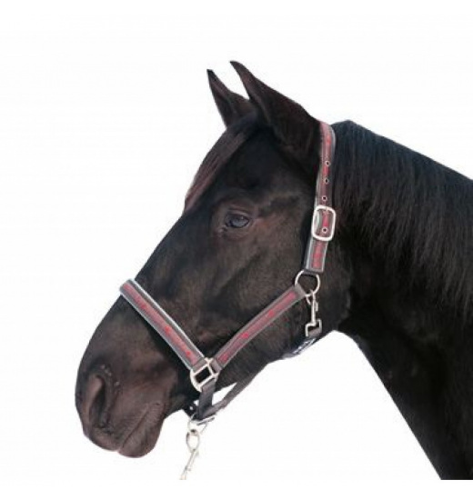 HKM HEAD COLLAR & LEAD ROPE (180 CM) WITH SNAP HOOK