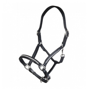 B Vertigo Evolve Leather Halter with Braided Accents