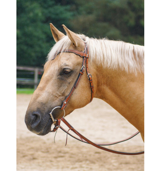 CANEY HEADSTALL