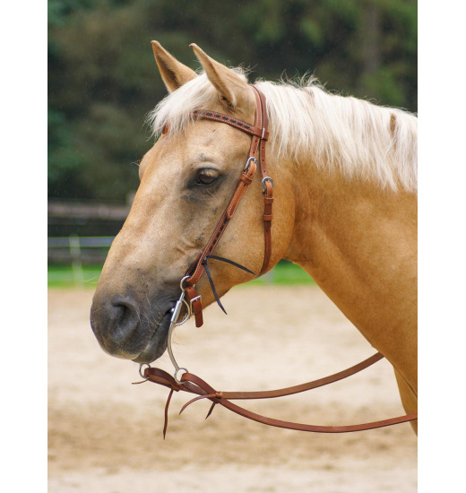 ALAMITOS HEADSTALL