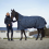 Horze HORZE AVALANCHE HORSE WINTER RUG 300G