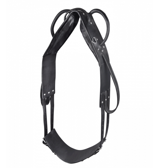 Star STAR LONGIER- UND VOLTIGIERGURT