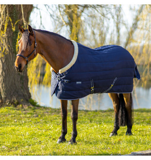 BUSSE POLARIS HORSE STABLE RUG 200 GR