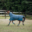 Horze HORZE NEVADA TURNOUT HORSE RUG 200 GR