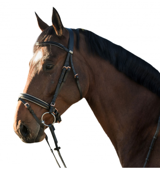 Rosegold Leather Halter - The Dressage Pony Store