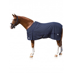 ANNA SCARPATI NIELE HORSE STABLE COTTON RUG