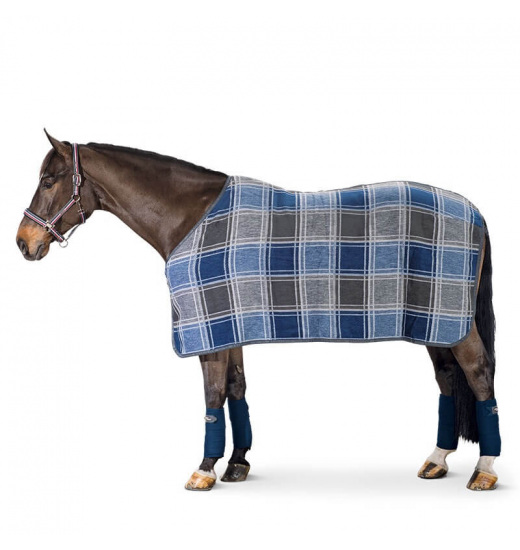 DRALON CHECK RUG DRALON CHECK RUG