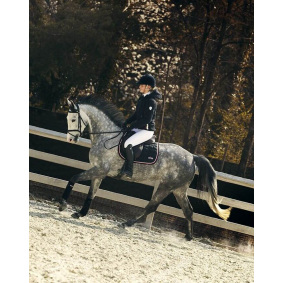 KINGSLAND CHURCHILL JACKE Z KAPTUREM UNISEX - 1 in der Kategorie: Reitjacken