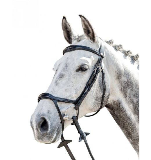 PRESTIGE ITALY E143 DOUBLE NOSEBAND BRIDLE EQUISHOP Equestrian Shop