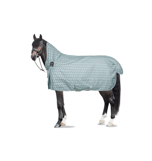 HORZE AVALANCHE TURNOUT RUG WITH HIGH NECK 150G