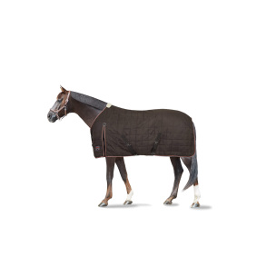Stable rug Bamboo, high neck (360g)