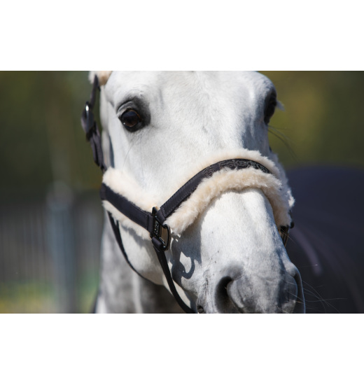 Eskadron Double Pin Halfter - Schwarzes Reithalfter Mit Softshell-Polsterung