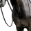 Prestige Italia PRESTIGE ITALIA E137 16MM DRESSAGE LEATHER REINS WITH STOPPERS FOR E157 BRIDLE