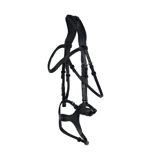 HORZE PECKHAM ANATOMIC BRIDLE WITH EMBROIDERY