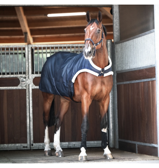 BUSSE TRAINER 50 HORSE TRAINER RUG