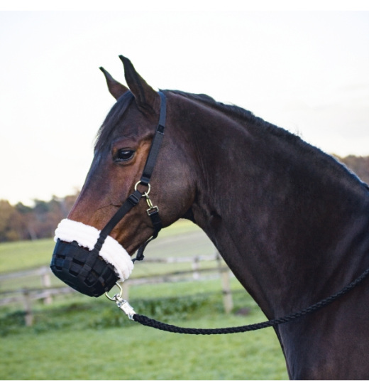 BUSSE GRAZING MUZZLE COMFY