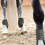 Horze HORZE ADEPTO FETLOCK BOOTS