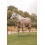 B Vertigo B VERTIGO COMBO FLY RUG WITH DETACHABLE NECK AND UV PROTECTION