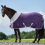 Horze HORZE TURIN EQUESTRIAN FLEECE RUG