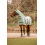 Horze HORZE PASO FINO FLY RUG WITH HOOD AND UV PROTECTION