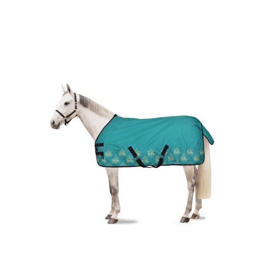 HORZE MAGIC CAROUSEL PONY TURNOUT RUG WITH FLEECE LINING