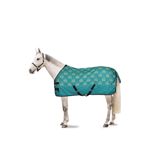 HORZE MAGIC CAROUSEL PONY TURNOUT RUG 0G