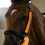 Horze HORZE BZEEN REFLECTIVE BRIDLE COVERS WITH NEOPRENE