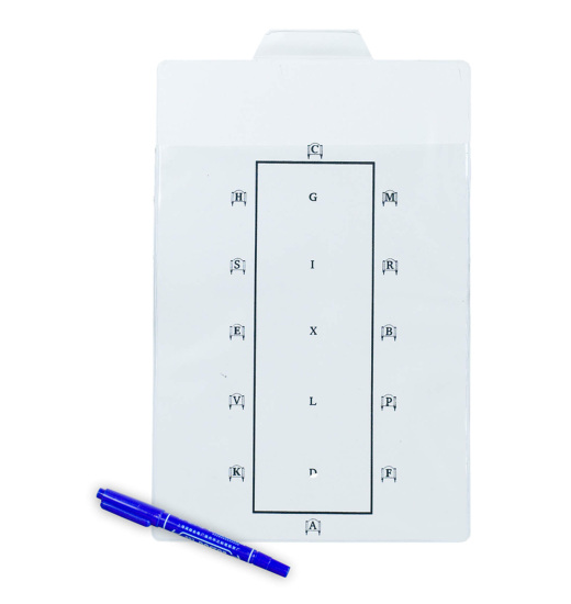 HORZE DRESSAGE TEST LEARNER BOARD