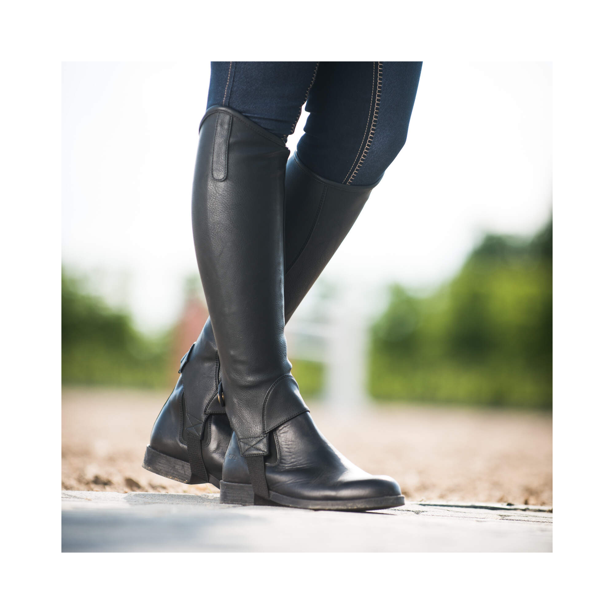 HORZE DESTA SYNTHETIC LEATHER EQUESTRIAN HALF CHAPS - EQUISHOP ...